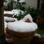 家から出られないよ～